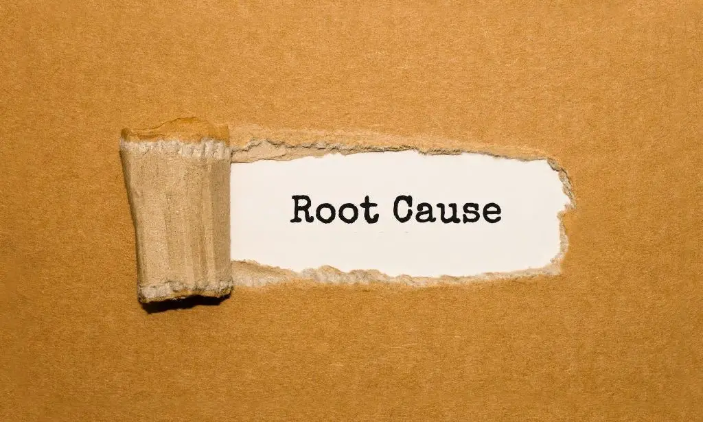Analysis of the Root Cause