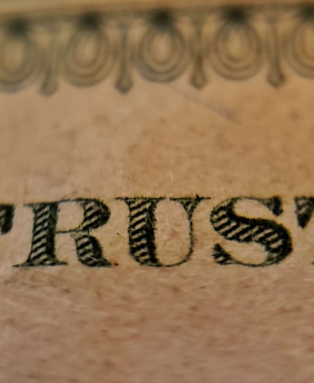 Trust, Insighteurs 